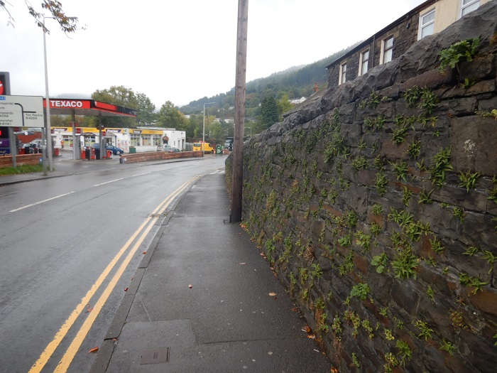 Wall repair scheme in Llwynypia during school Easter holiday